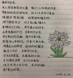 抄书打卡33歌词:离别开出花 