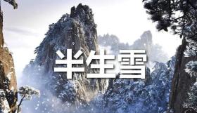 诗歌：《半生雪》●作者/陆千巧 