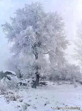 两地书·与你一起听雨看雪 