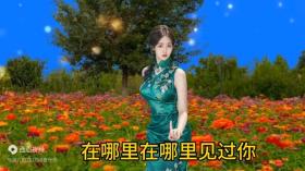 邓丽君一首最美的歌！《甜蜜蜜》歌声优美动听迷人惹人爱！ 