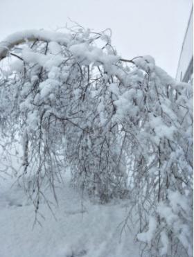 许嵩的歌里描绘了怎样的断桥残雪？ 