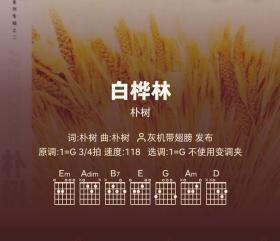 好谱分享：白桦林 朴树 G调手机吉他谱 