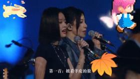 2000首伤感音乐，新歌上钱太好听了。 