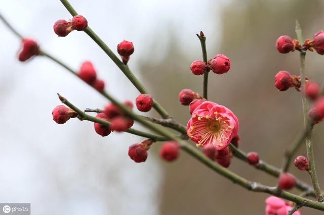 风花雪月是童话，不久长；柴米油盐是余生，一辈子 