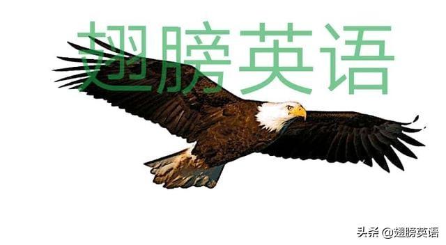 核心知识点：according to的句型精讲及其5个拓展 